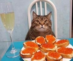 Parduodamas namas Kaime